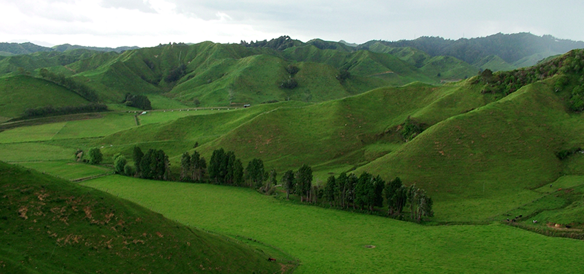 New Zealand Hills