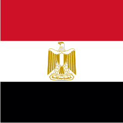 GCDF International Countries icon.